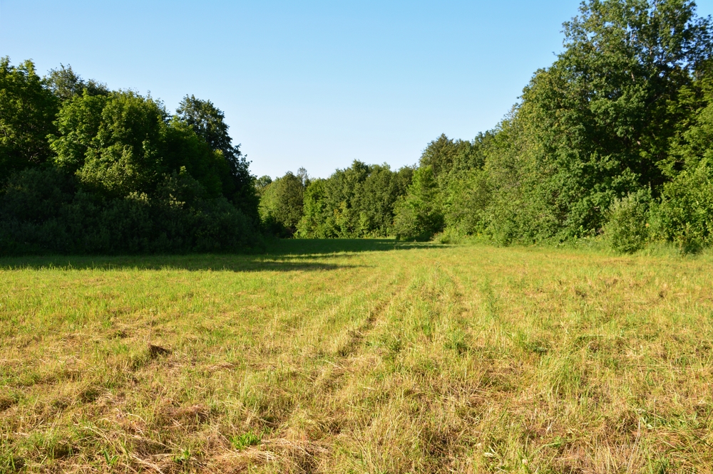 Land Acquisition & Liaison Services